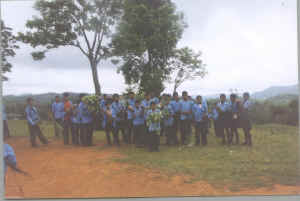 tree plantation programme
