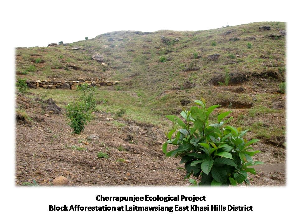 Block Afforestation at Laitmawsiang