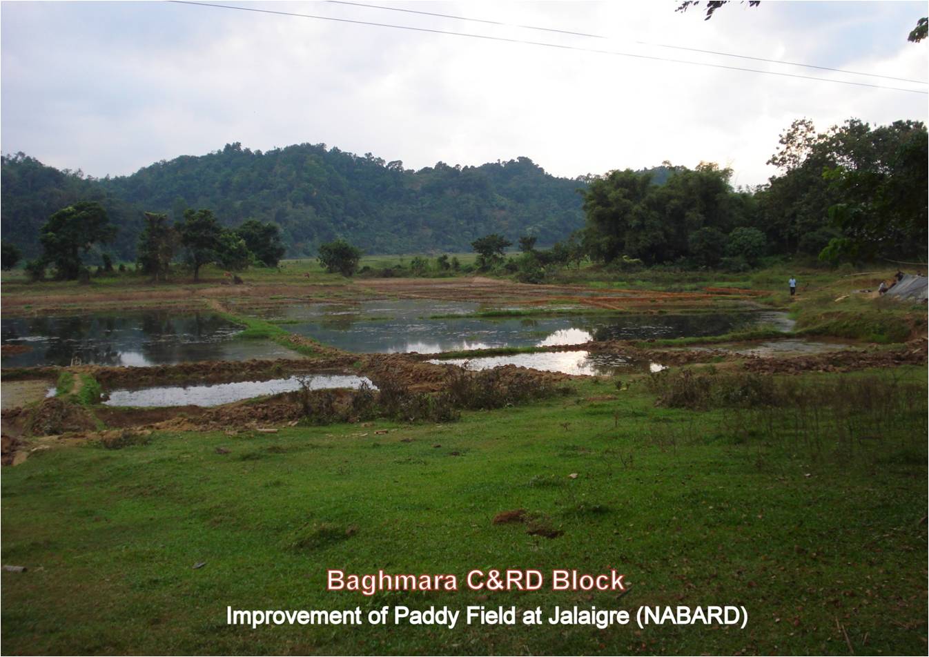 Improvement of Paddy Field at Jaliagre