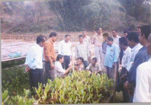 Training on Cashew cultivation
